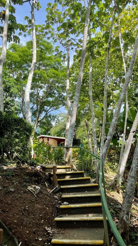Hotel Cerro Lodge Hôtel in Puntarenas Province