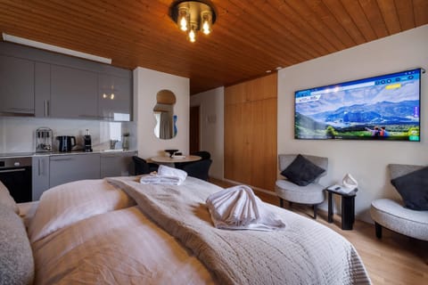 Bed, TV and multimedia, Kitchen or kitchenette, Living room, Photo of the whole room, Seating area, Bedroom