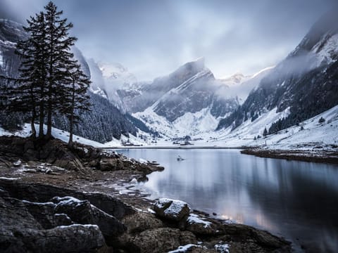 Natural landscape, Winter