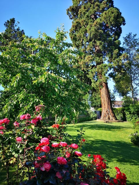 Les Chambres D'oriane Bed and Breakfast in Chessy