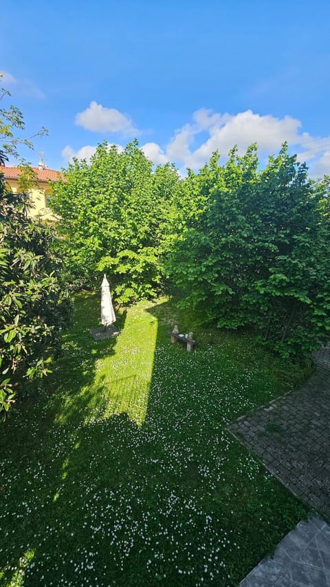 Casa Forte Apartment in Pietrasanta