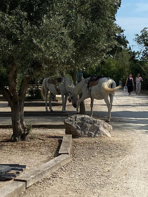 Camping L' Arlesienne Campground/ 
RV Resort in Arles