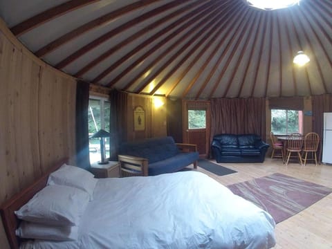 Bed, Living room, Photo of the whole room, Bedroom