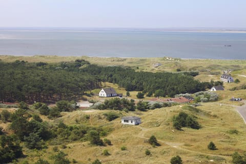 Bird's eye view, Area and facilities