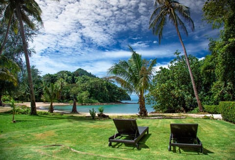 Day, Natural landscape, Garden, Beach, Sea view, sunbed