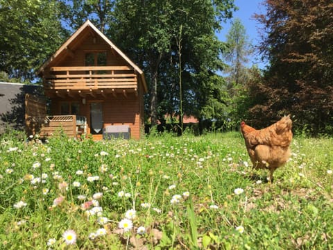Facade/entrance, Animals