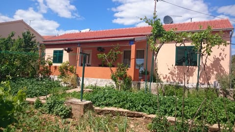 Garden, Garden view, Street view