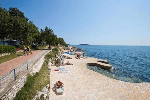 Natural landscape, Snorkeling, Beach