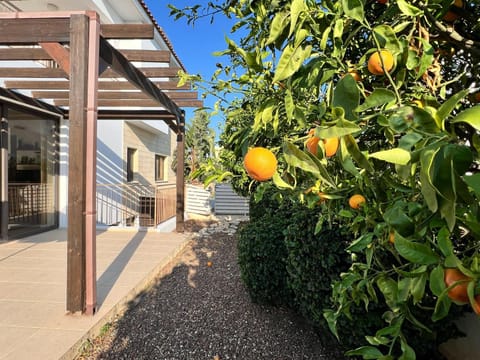 Property building, Garden view