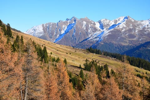 Ferienwohnungen Reinalter Farm Stay in Trentino-South Tyrol