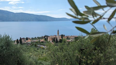 City view, Lake view, Mountain view