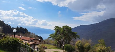 Lake view