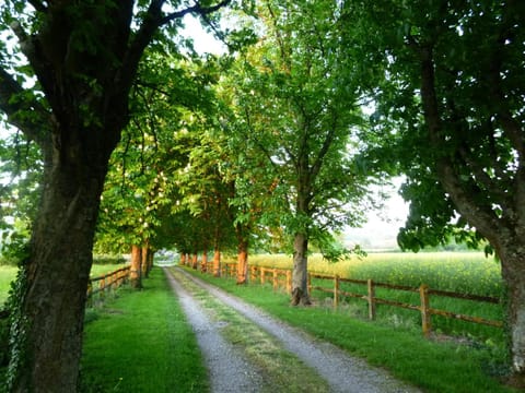 Gîte Le Tremblay House in Bourgogne-Franche-Comté