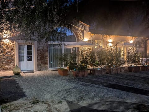 Night, Garden, Garden, Garden view