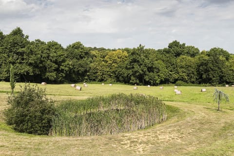 Natural landscape, Garden