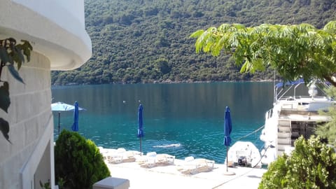 Garden, Snorkeling, Mountain view, Sea view