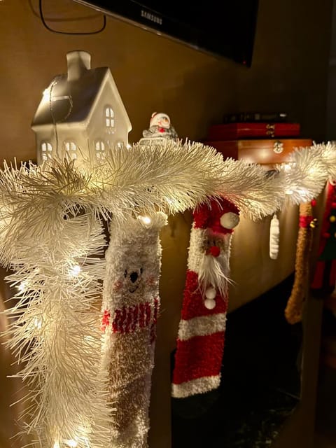 Casas Petite Province Tiradentes refúgio ao pé da Serra House in Tiradentes