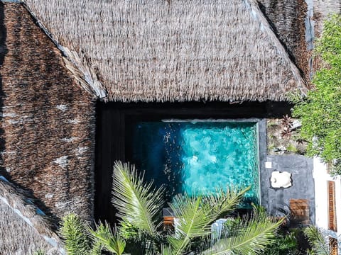 Garden view, Swimming pool