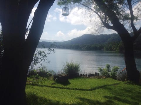 Garden, Garden, Pets, Lake view