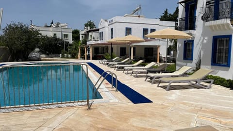 Property building, Day, Pool view, Swimming pool, sunbed