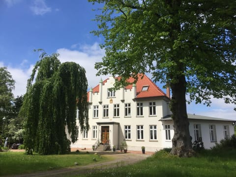 Property building, Facade/entrance, Summer