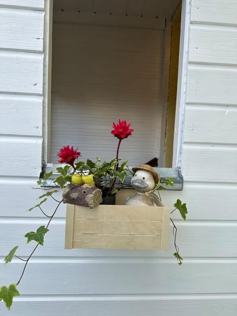 Nest & Rest Garden Stay with Free Parking Bed and Breakfast in Salzburg