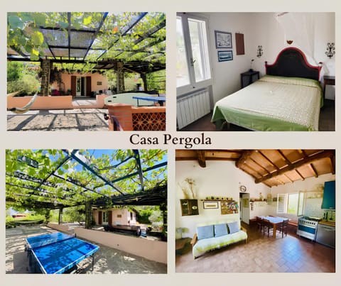 Patio, Living room, Bedroom