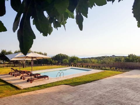 Garden, Garden view, Swimming pool