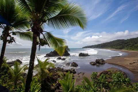 Natural landscape, Beach, Sea view