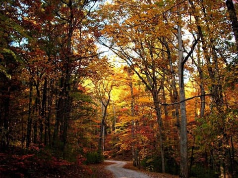 Family Getaway in the Smokies Starts Here! House in Pigeon Forge