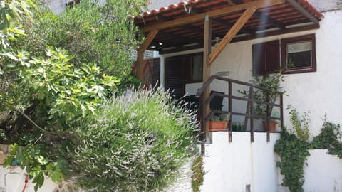 Property building, Garden, Balcony/Terrace