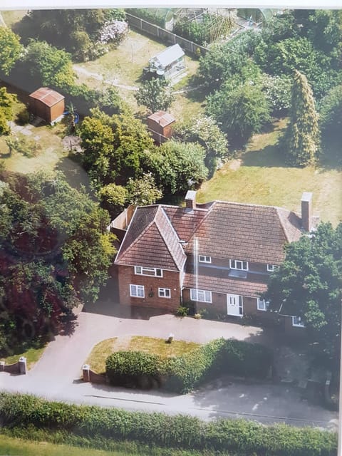 Bird's eye view, Garden