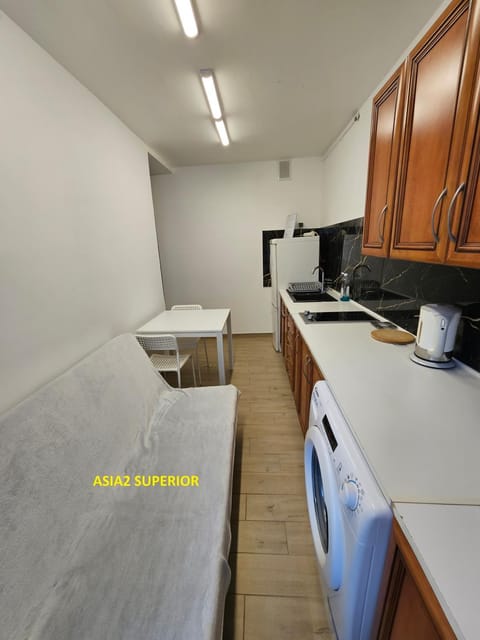 Kitchen or kitchenette, kitchen