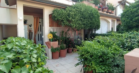 Garden, Garden view