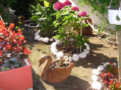 BBQ facilities, Garden