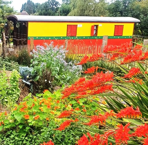 Garden, Garden