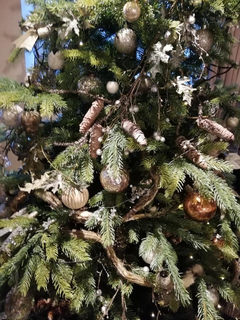 Au 13 du Faubourg de France à Bouillon, un cocon plein de charme House in Wallonia, Belgium