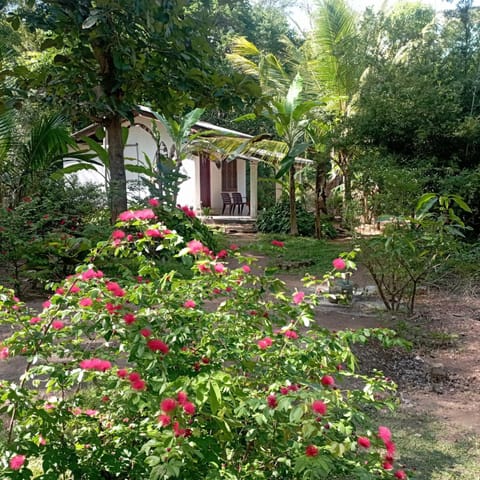 Property building, Natural landscape, Garden view