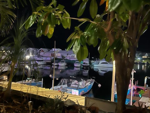 Night, Activities, Lake view