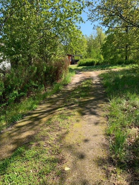 Natural landscape