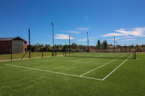 Tennis court, Area and facilities, Sports