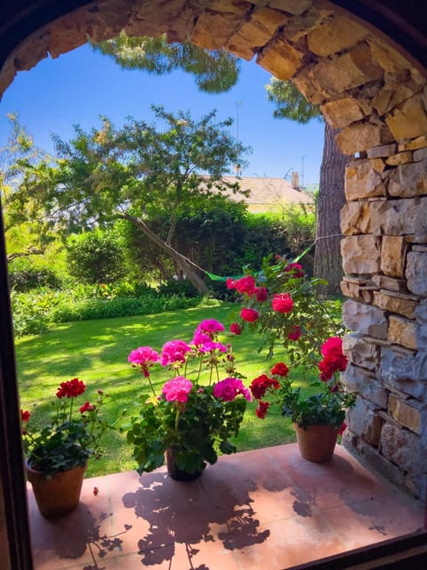 Day, Garden, Garden view