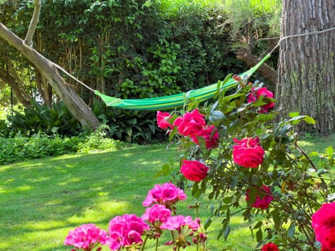 Garden, Garden view