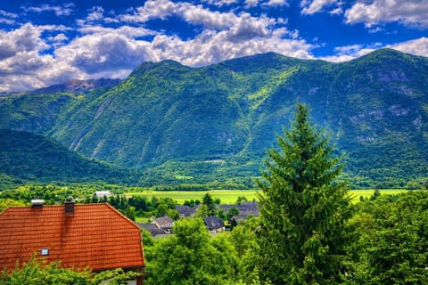 Day, Mountain view