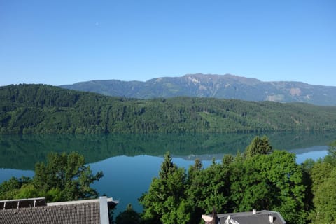 Lake view