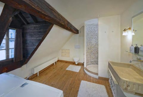 Magnific 3 floors Authentic Dutch House with Terrace Apartment in Maastricht