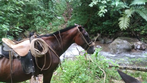 Horse-riding