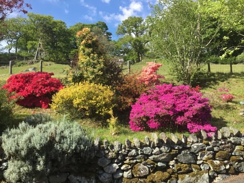 Heulwen Guest House Bed and Breakfast in Ganllwyd