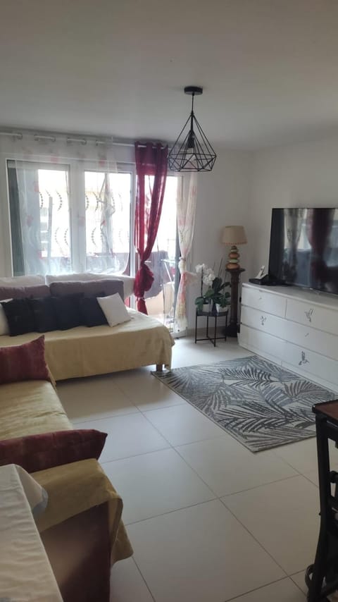 Monaco border Apartment in Monaco