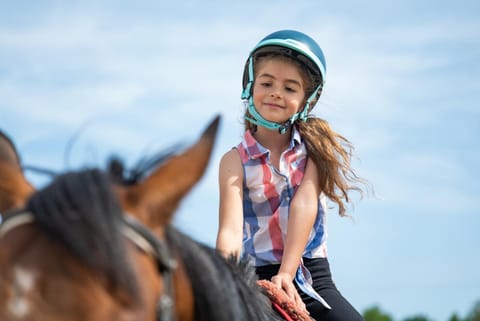 Horse-riding, Animals